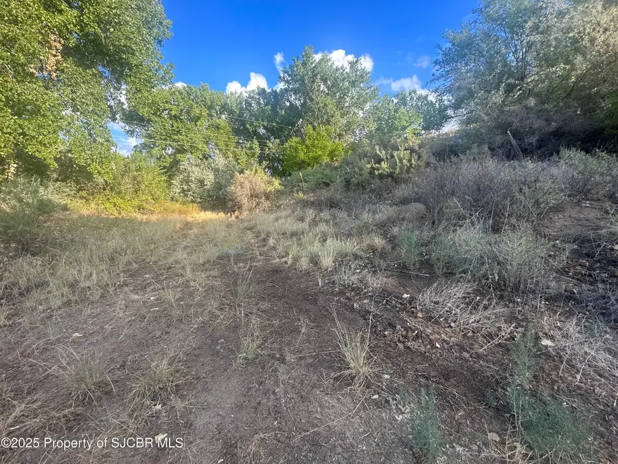 259 Road 4800, Bloomfield, NM 87413 - Image #3