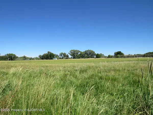 XXX Road 3009, Aztec, NM 87410