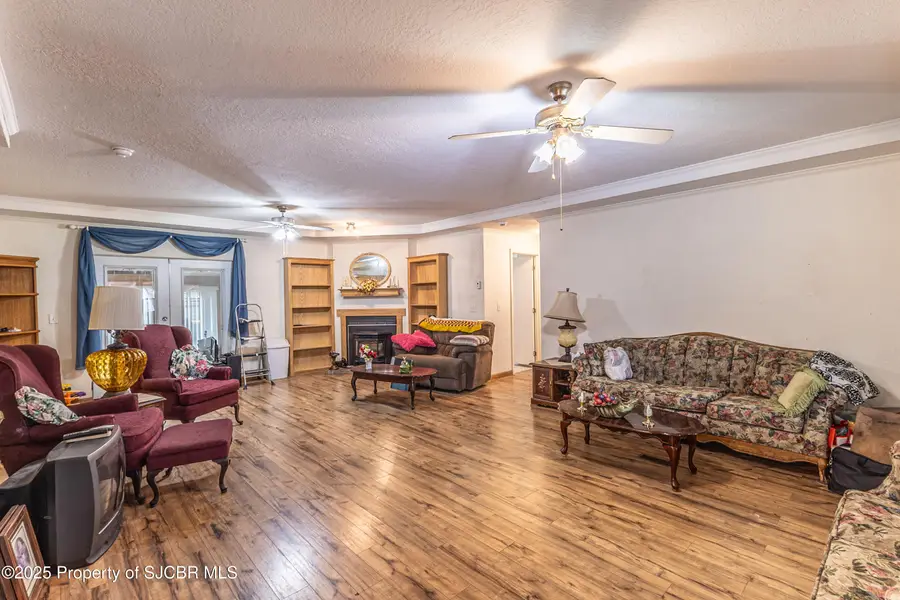 5 Road 49037, Bloomfield, NM 87413 - Image #3