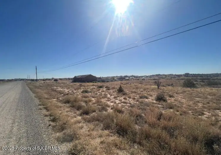 LOT 164 Road 3782, Farmington, NM 87401 - Image #2