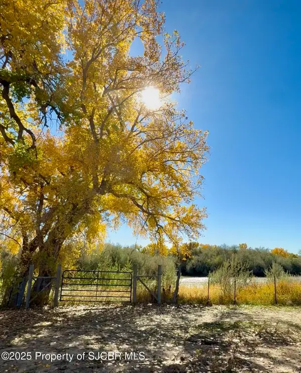 XX Road 4599, Blanco, NM 87412