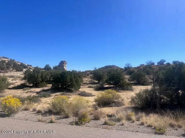 XXX Vista Grande Drive, Farmington, NM 87401 - Image #2