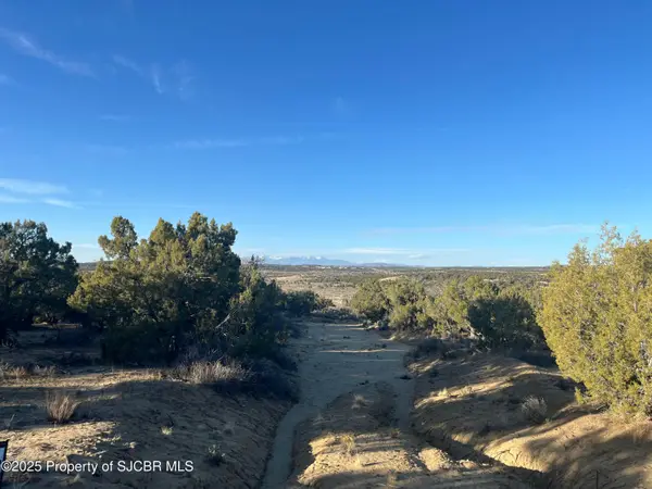 XXX Road 3095, Aztec, NM 87410