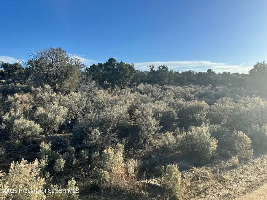XXX Road 3095, Aztec, NM 87410 - #3