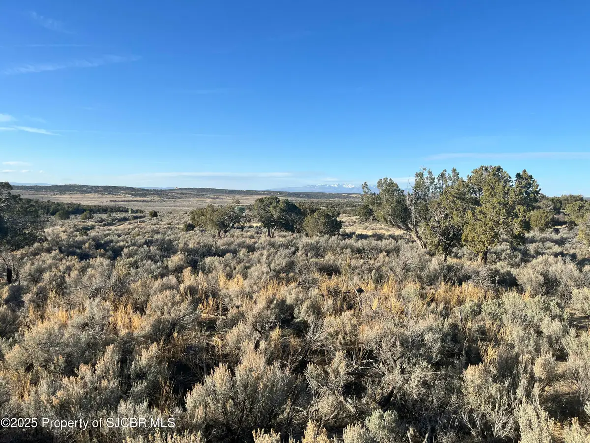 XX Road 3095, Aztec, NM 87410 - #1