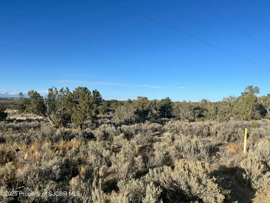 XX Road 3095, Aztec, NM 87410 - #2
