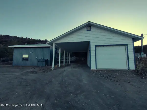 106 Road 4025, Middle Mesa, NM 81137