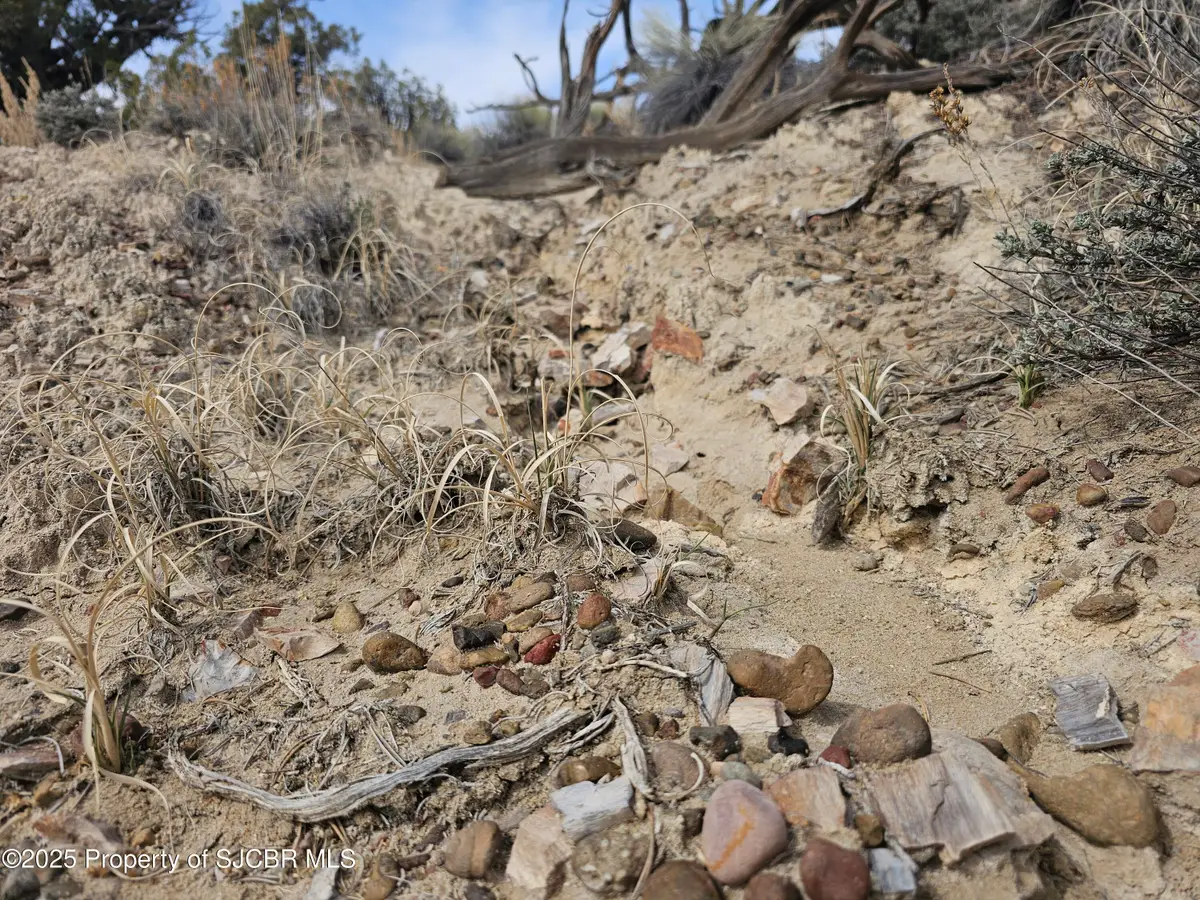 NYA Road 3088, Aztec, NM 87410 - #1