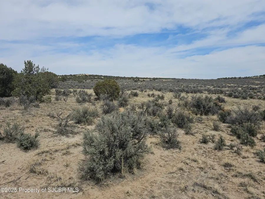 NYA Road 3088, Aztec, NM 87410 - #3