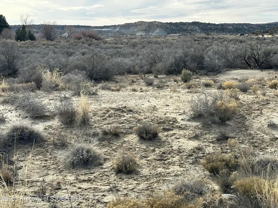 XXY Road 4599, Blanco, NM 87412 - Image #2