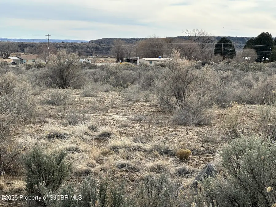 XXY Road 4599, Blanco, NM 87412 - Image #3