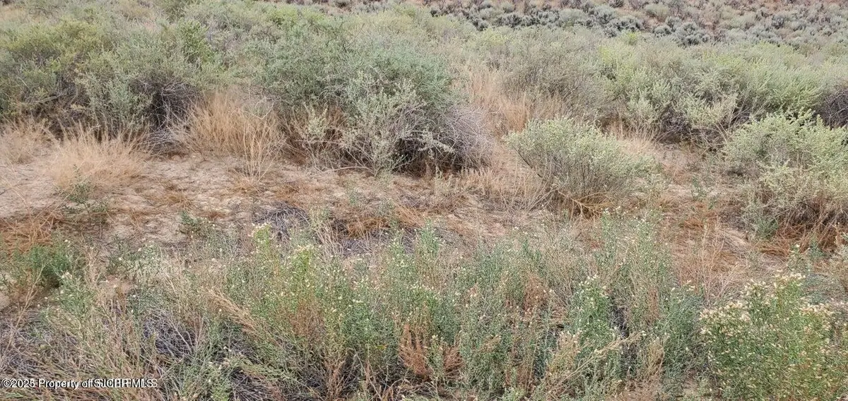 L9 B2 Road 1420, La Plata, NM 87418 - Image #1