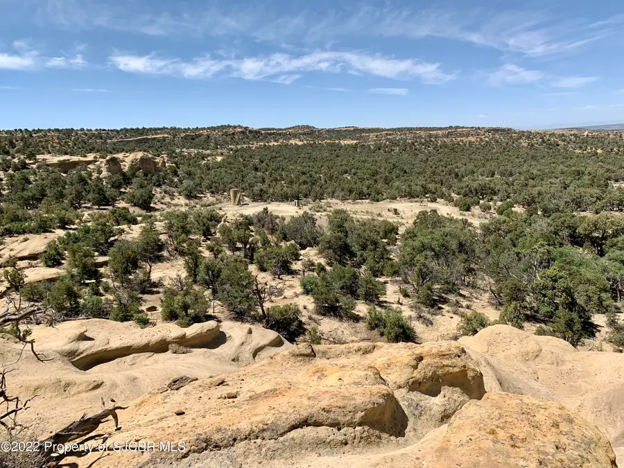XYZ Road 1354, La Plata, NM 87418 - #3