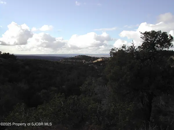 R4001849 Road 2777, Aztec, NM 87410