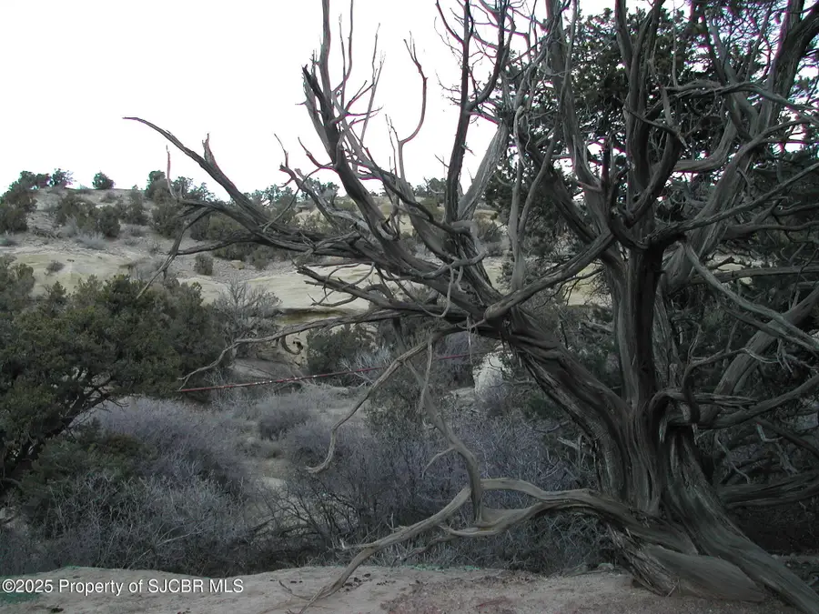 R4001851 Road 27780, Aztec, NM 87410 - Image #2