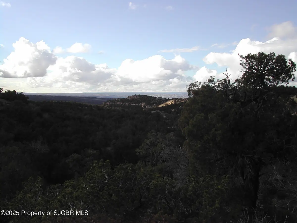 R4001858 Road 2777, Aztec, NM 87410 - #1