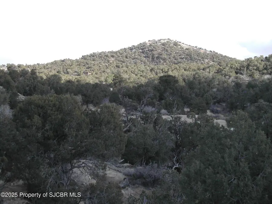 R4001860 Road 2778, Aztec, NM 87410 - #3