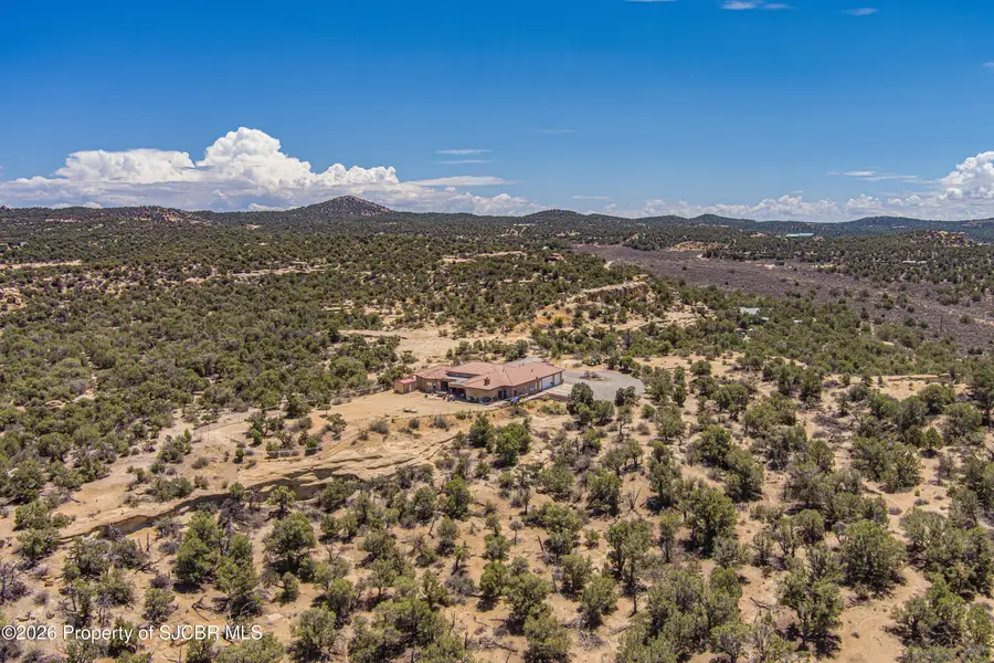 115 Road 2776, Aztec, NM 87410 - #3