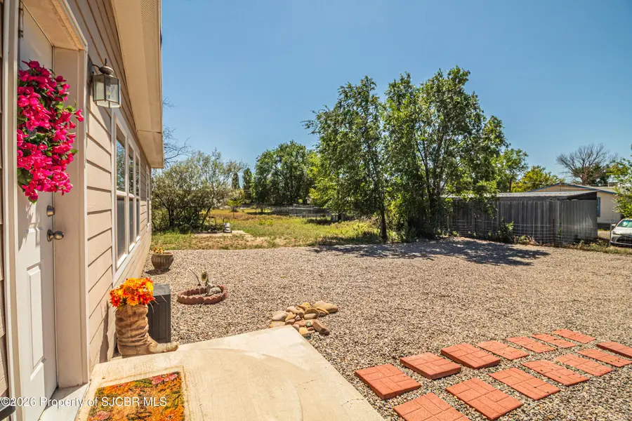 10 Road 2895, Aztec, NM 87410 - #2