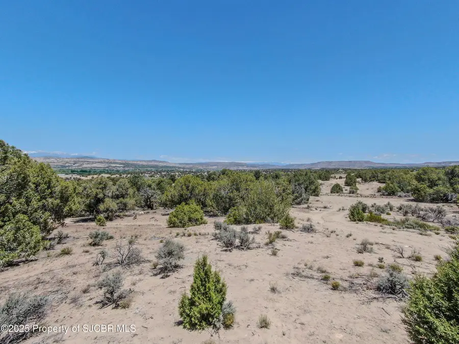 XXX Road 2785, Aztec, NM 87410 - #2
