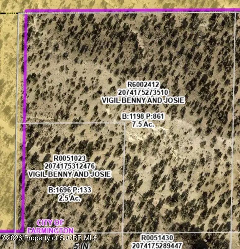 XX Choke Cherry, Farmington, NM 87402 - #1