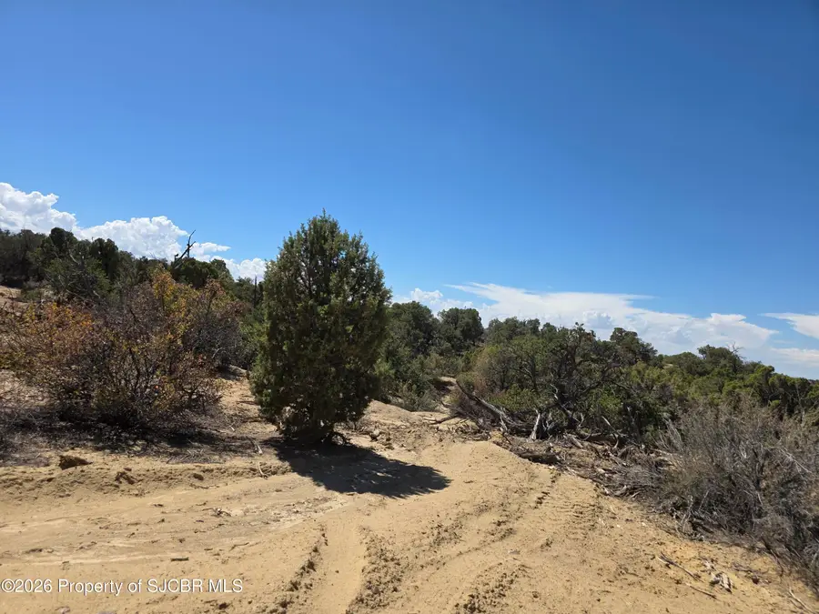 LOT 6 Road 2777, Aztec, NM 87410 - #3