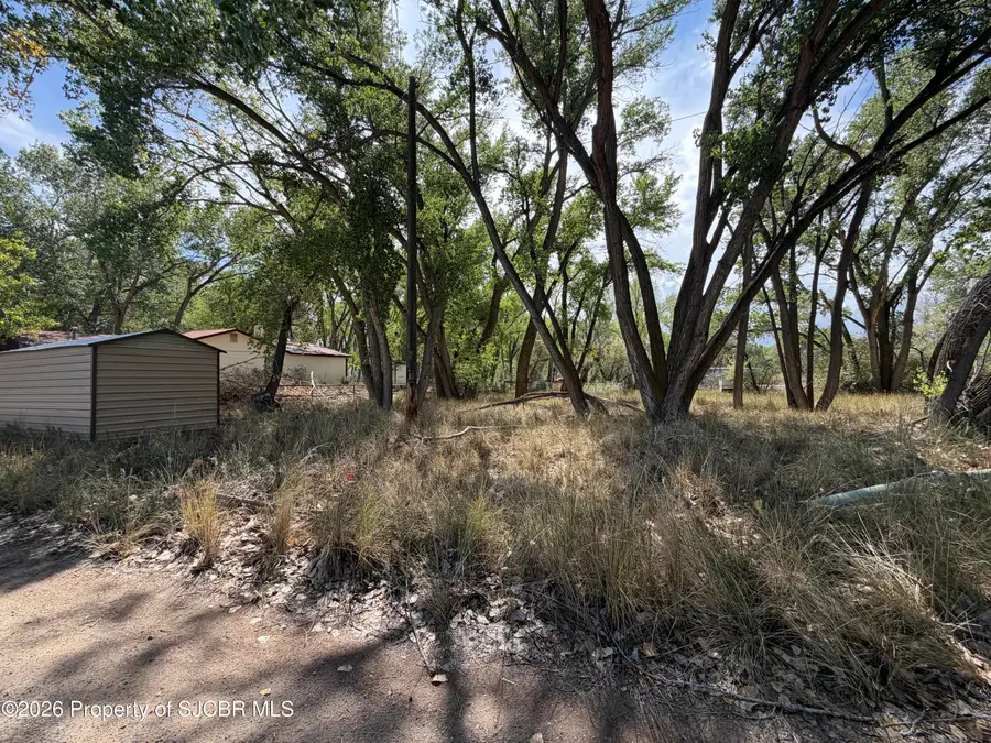 55 Road 3490, Flora Vista, NM 87415 - #3
