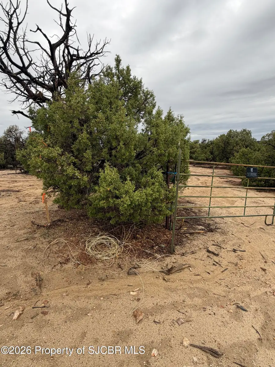 32 Road 2581, Aztec, NM 87410 - #2