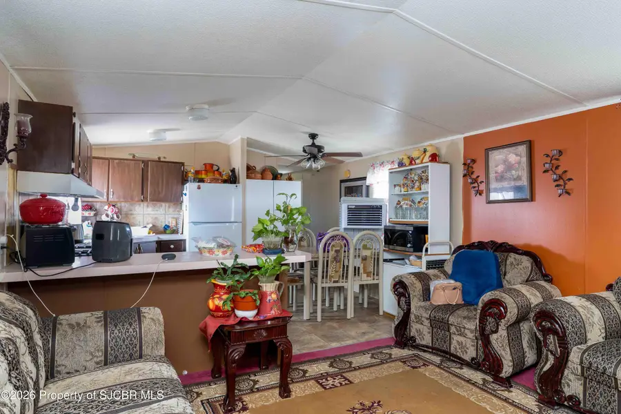 76 County Road 5575, Farmington, NM 87401 - #3
