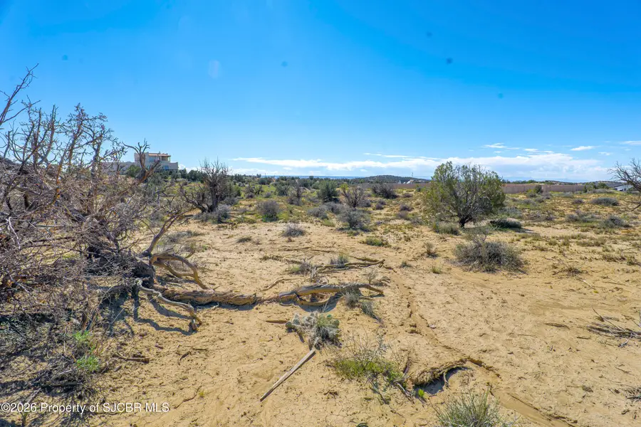 XXX Foothills, Farmington, NM 87402 - #2