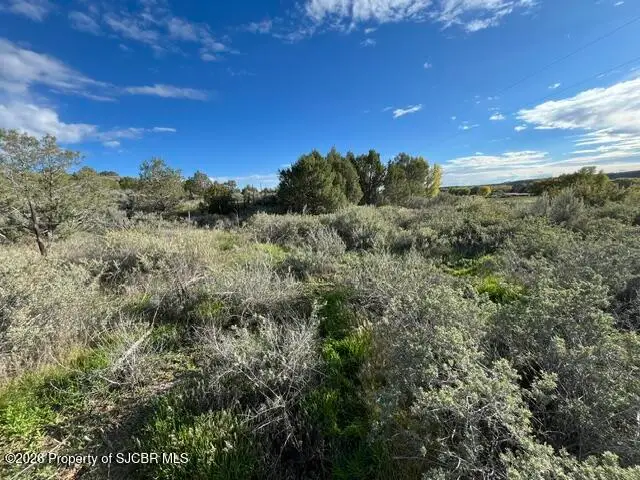 XX Nm 170, La Plata, NM 87418 - #2