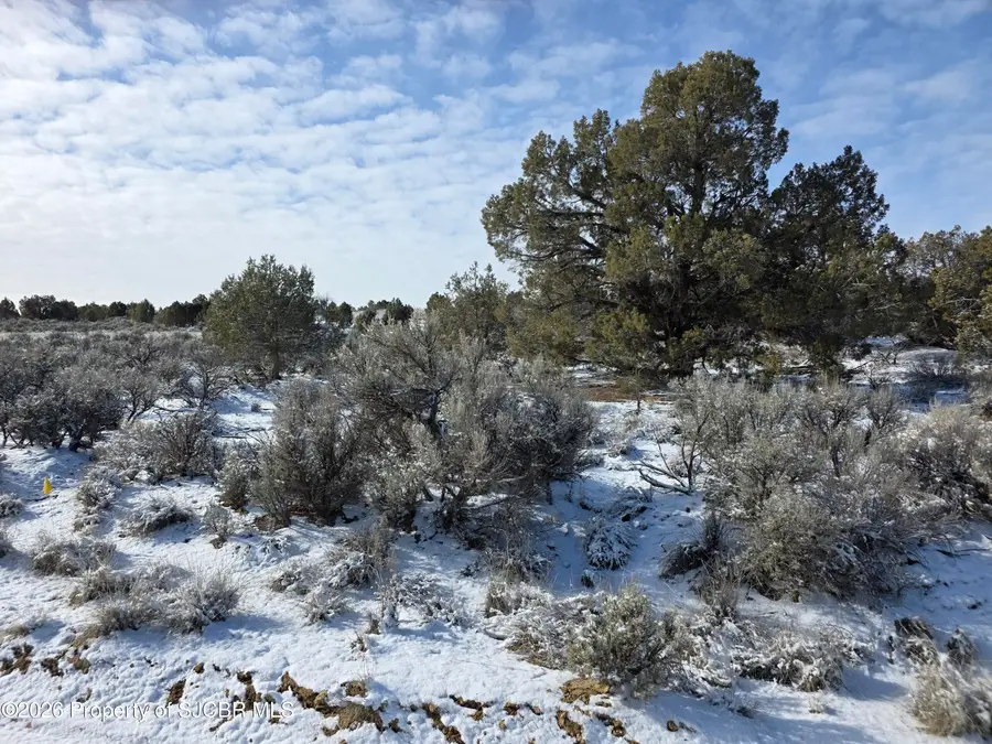 XX Road 2772, Aztec, NM 87410 - #2