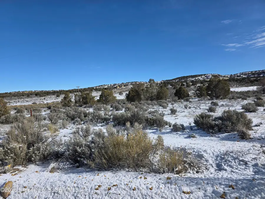 XX Road 2772, Aztec, NM 87410 - #3