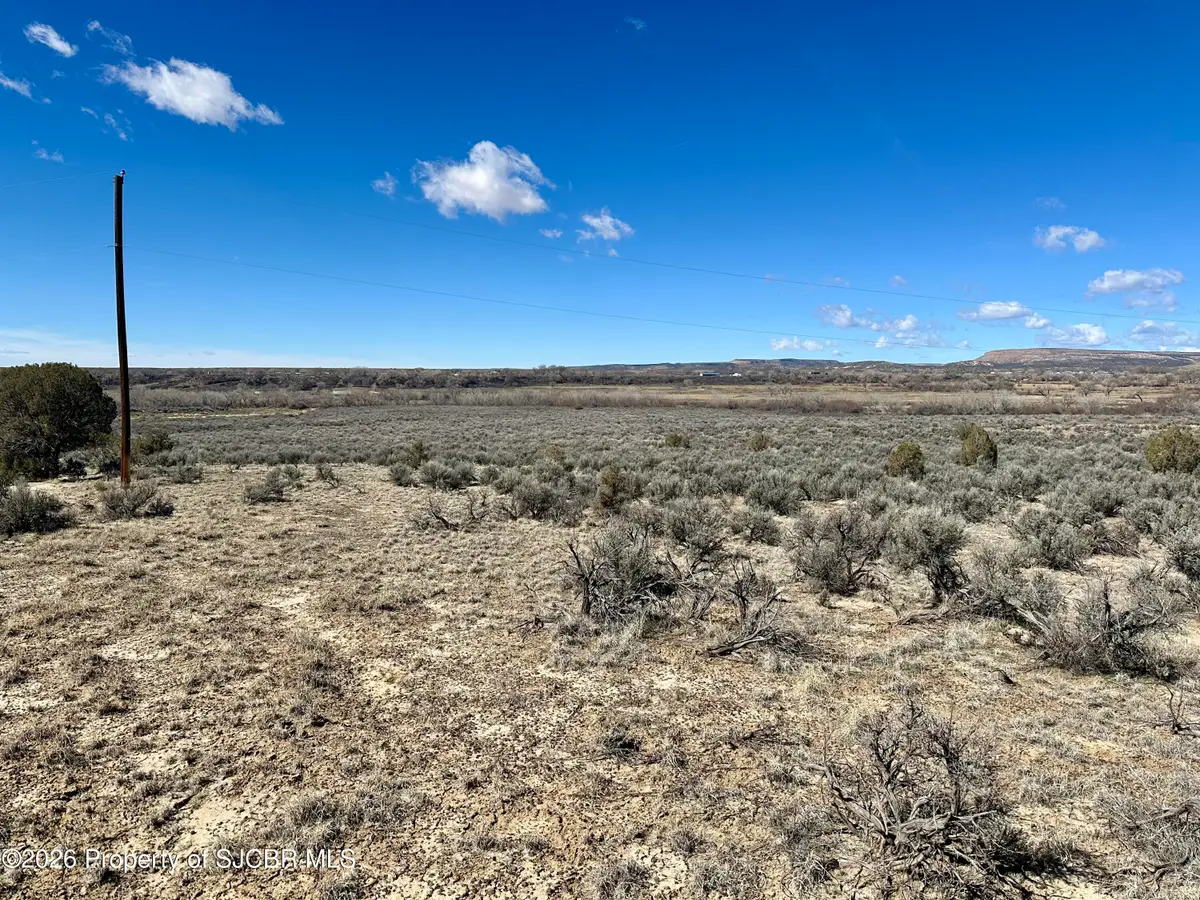 XXX Road 1500, La Plata, NM 87418 - #1
