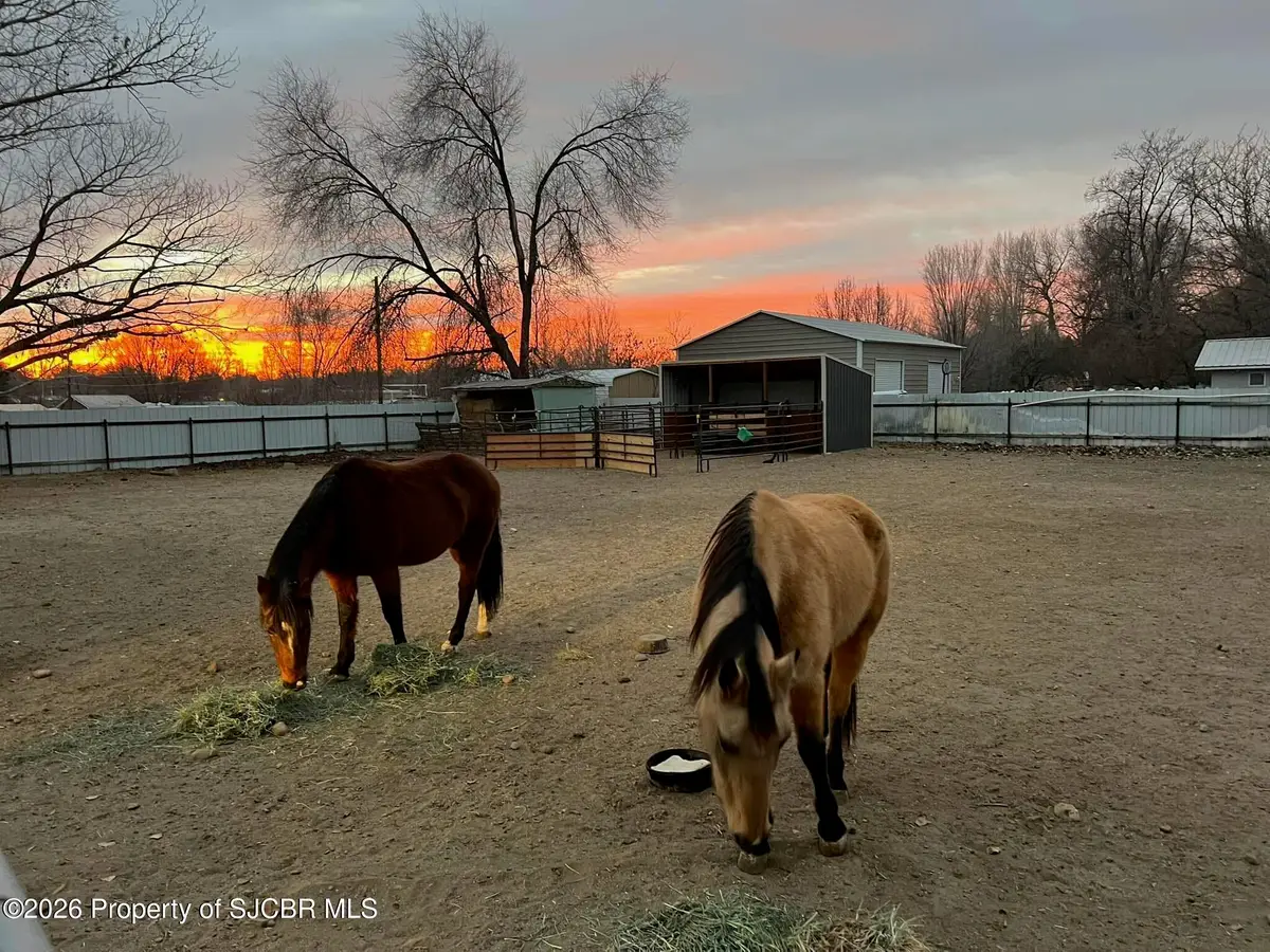 38 Road 5251, Bloomfield, NM 87413 - #1