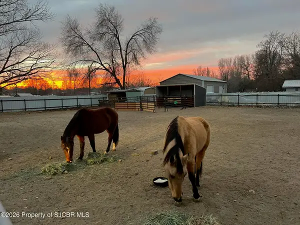 38 Road 5251, Bloomfield, NM 87413