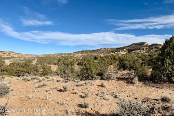 XX Road 4440, Blanco, NM 87412