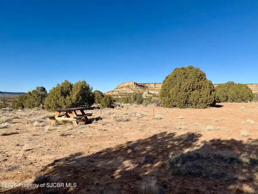 XX Road 4440, Blanco, NM 87412 - #2