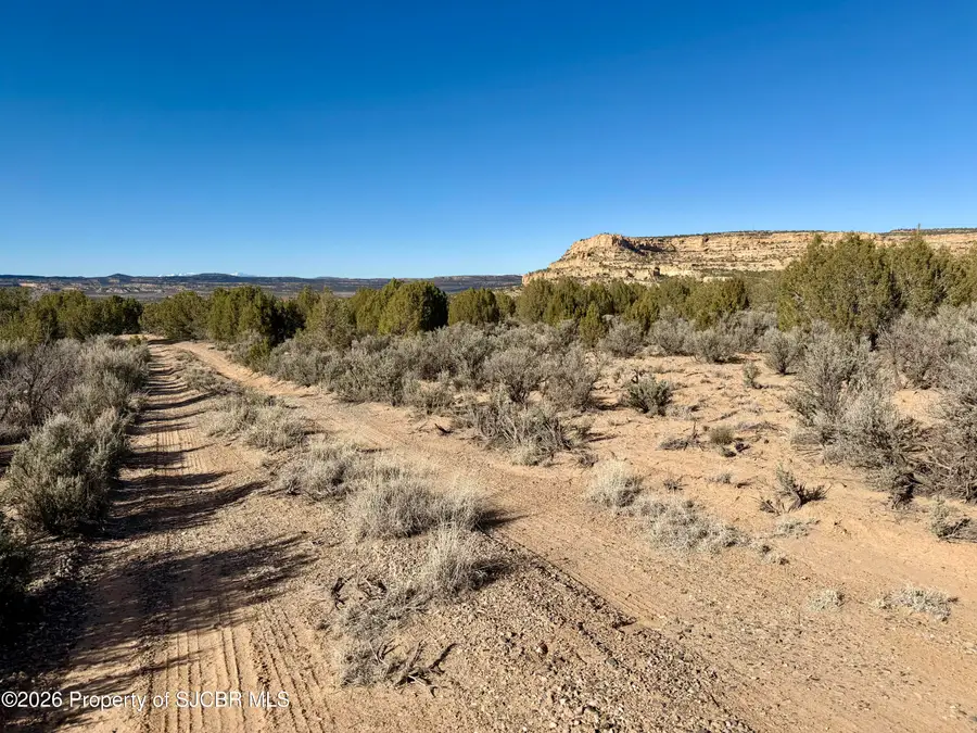 XX Road 4440, Blanco, NM 87412 - #3