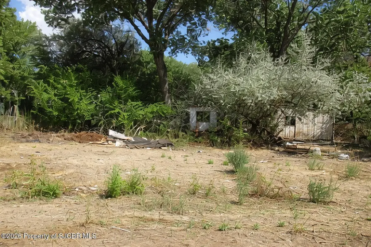 36 Road 4760, Bloomfield, NM 87413 - #1