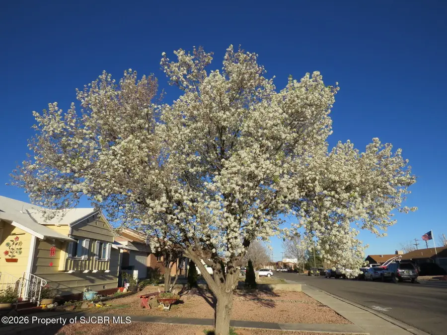 4020 Cedar Drive, Farmington, NM 87402 - #3