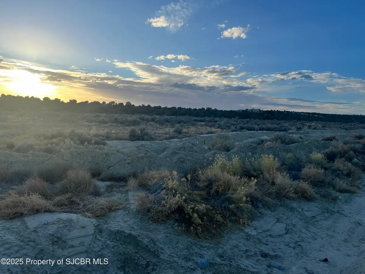 XX Road 3536, Flora Vista, NM 87415 - #1