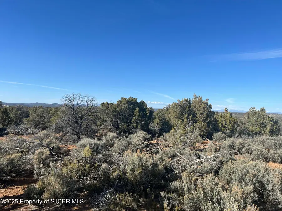 731 Road 4600, Navajo Dam, NM 87419 - #2