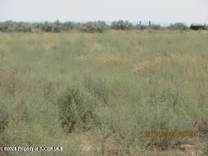 XX 3 Road 1191, La Plata, NM 87418 - #1