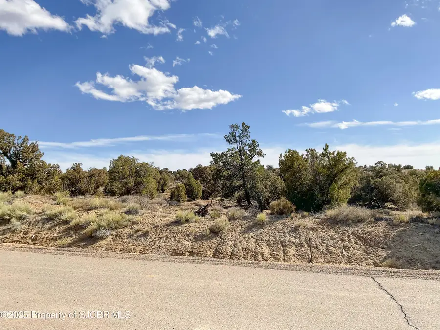 #37 Ancient Trails Circle, Aztec, NM 87410 - #3