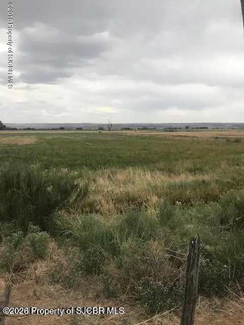 TRACT S1 Road 1191, La Plata, NM 87418