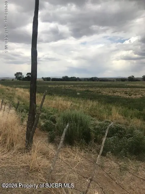 TRACT S1 Road 1191, La Plata, NM 87418 - #2