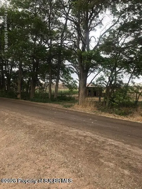 TRACT S2 Road 1330, La Plata, NM 87418