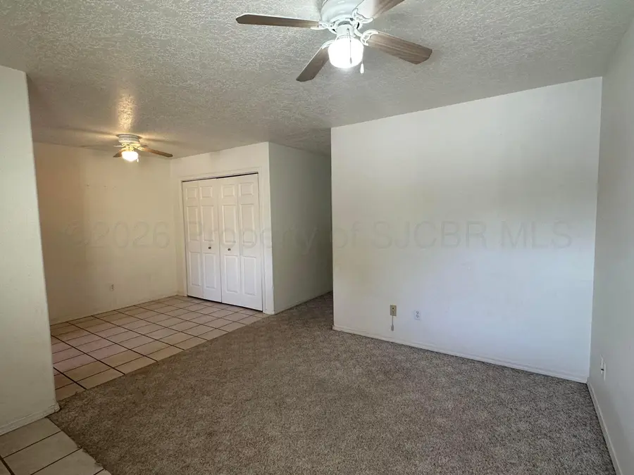 405 E Blanco Street, Aztec, NM 87410 - #3