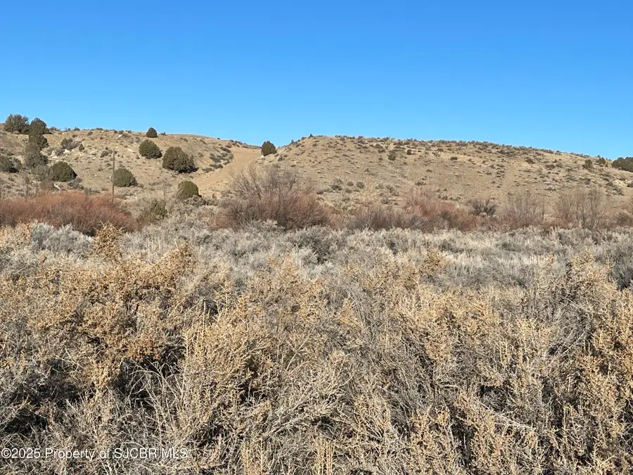 NYA1 Nm 170, Farmington, NM 87401 - #3